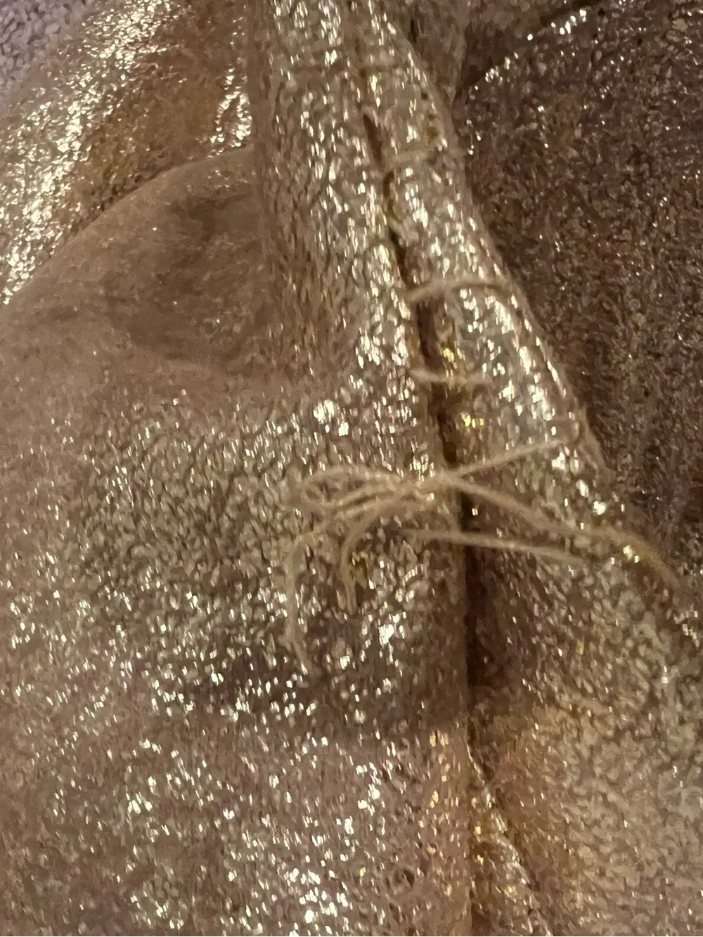 Pottery Barn Teen Metallic Golden snitch  Winged Bean Bag Chair